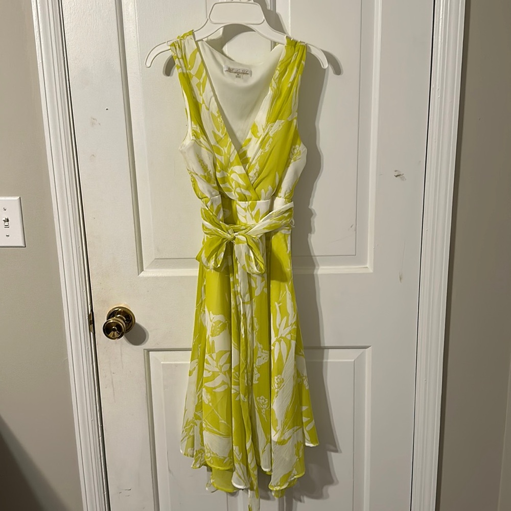Light Yellow and White Dress